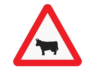 P-23. Paso de animales domésticos.